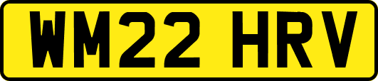 WM22HRV