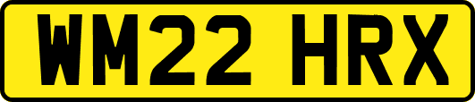 WM22HRX