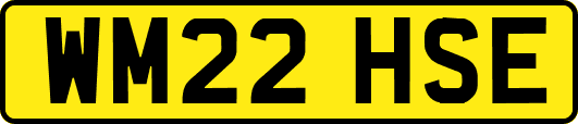 WM22HSE