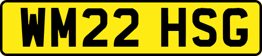 WM22HSG