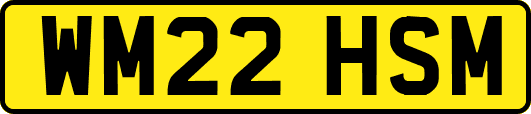 WM22HSM