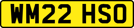 WM22HSO