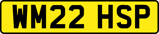 WM22HSP