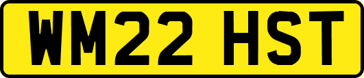 WM22HST