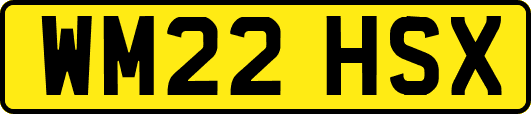 WM22HSX