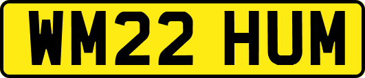 WM22HUM