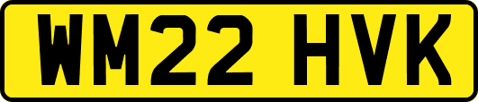 WM22HVK