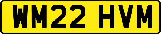 WM22HVM