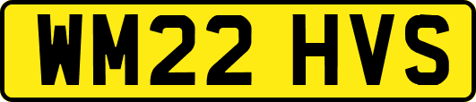 WM22HVS