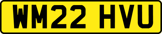 WM22HVU