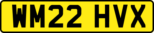 WM22HVX