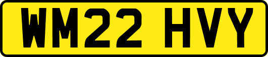 WM22HVY