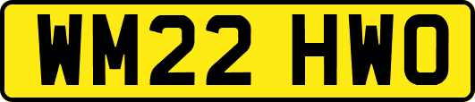 WM22HWO