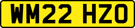 WM22HZO
