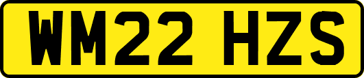 WM22HZS