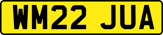 WM22JUA