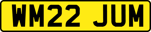 WM22JUM