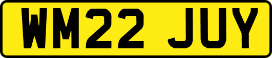 WM22JUY