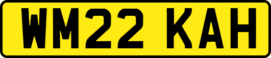 WM22KAH
