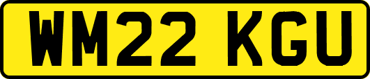 WM22KGU