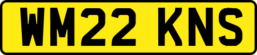 WM22KNS