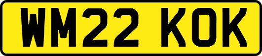 WM22KOK