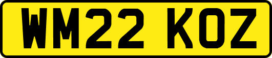 WM22KOZ