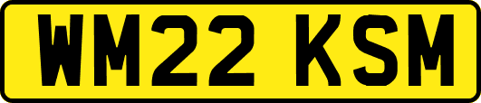 WM22KSM