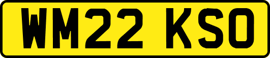WM22KSO
