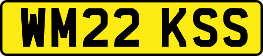 WM22KSS