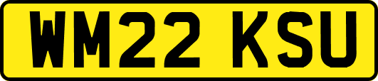 WM22KSU