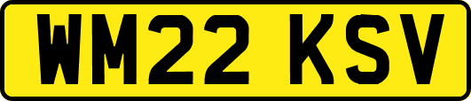 WM22KSV