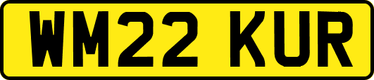 WM22KUR