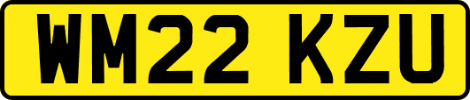 WM22KZU