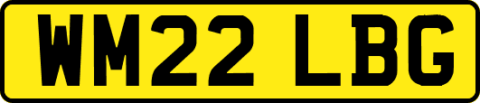 WM22LBG