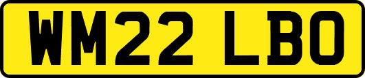WM22LBO