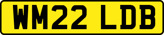 WM22LDB