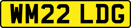 WM22LDG