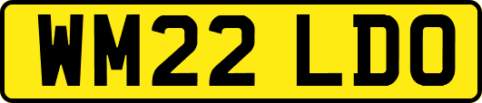 WM22LDO