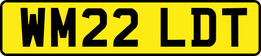 WM22LDT