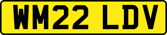 WM22LDV