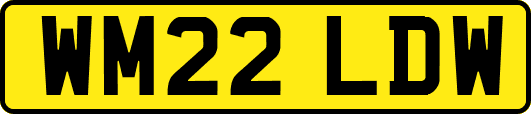 WM22LDW