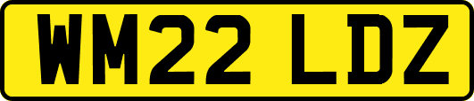 WM22LDZ