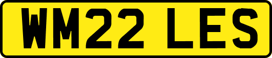 WM22LES
