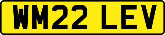 WM22LEV