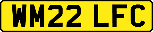 WM22LFC