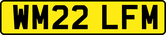 WM22LFM