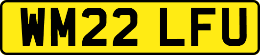 WM22LFU