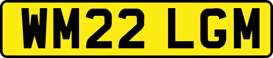 WM22LGM