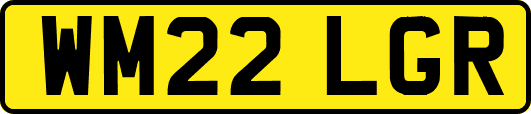 WM22LGR